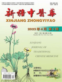 新疆中医药杂志